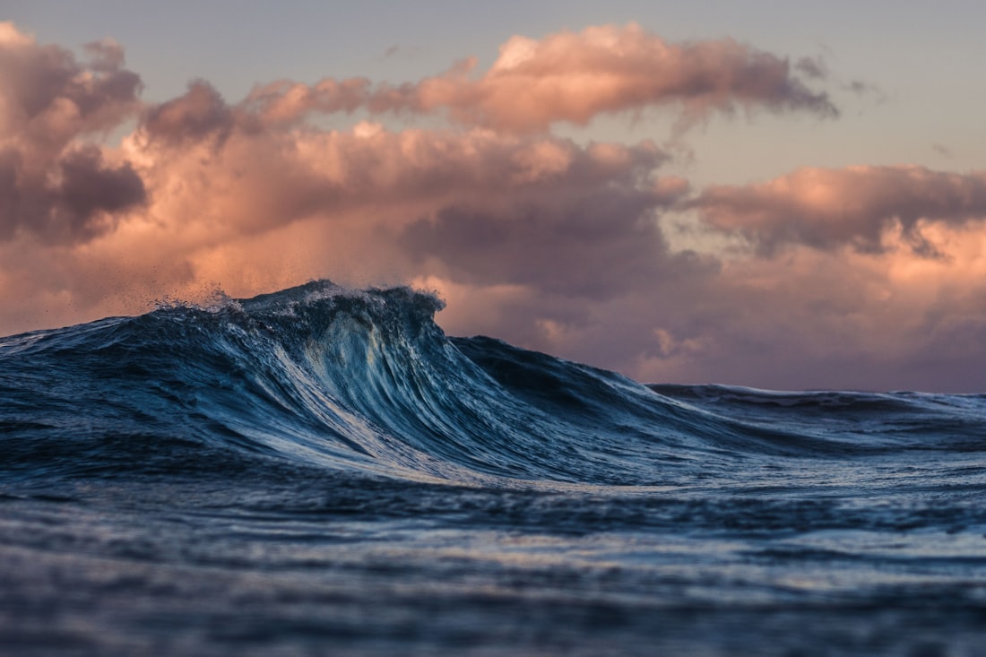 A dark wave rising beneath rose-coloured clouds